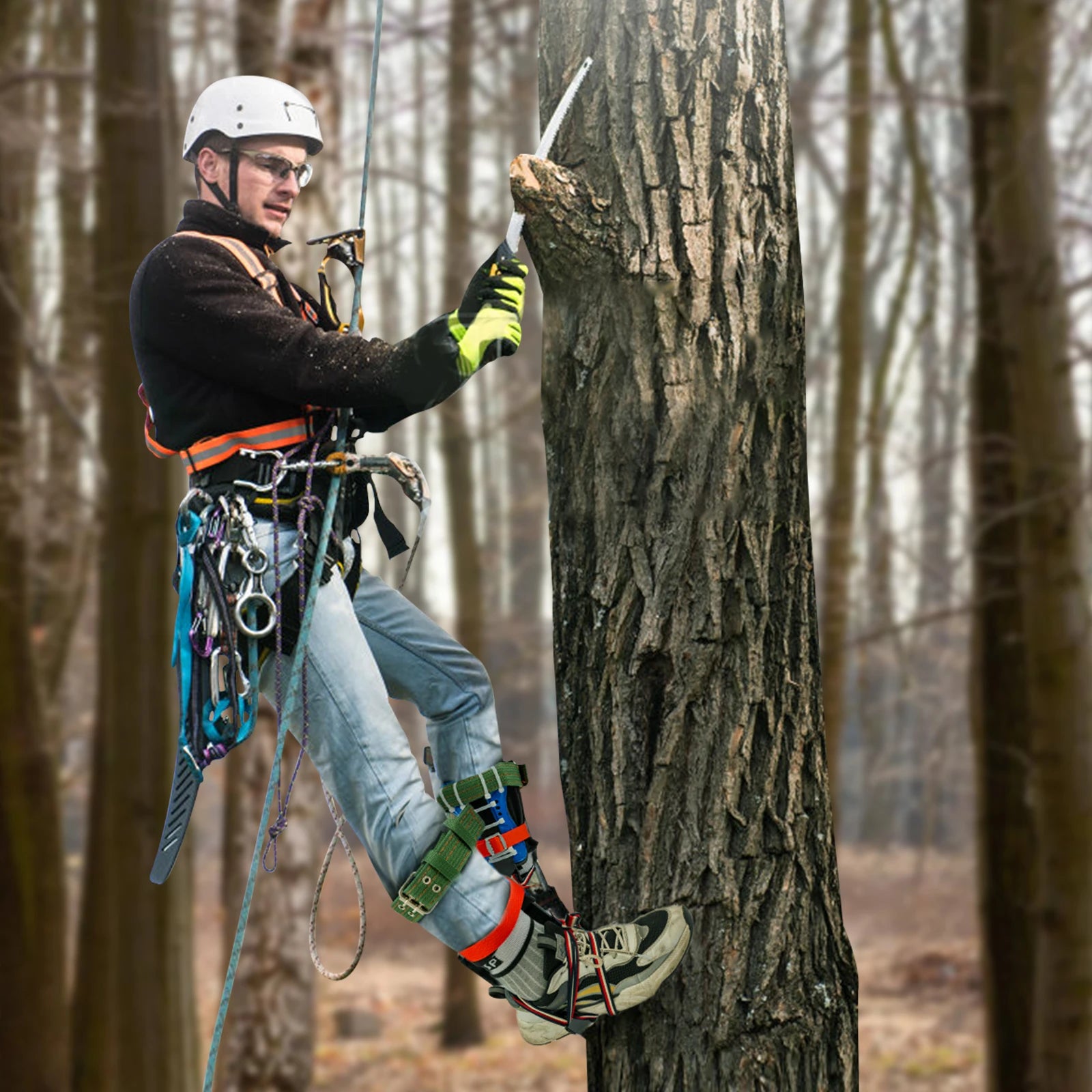 Tree Climbing Tools