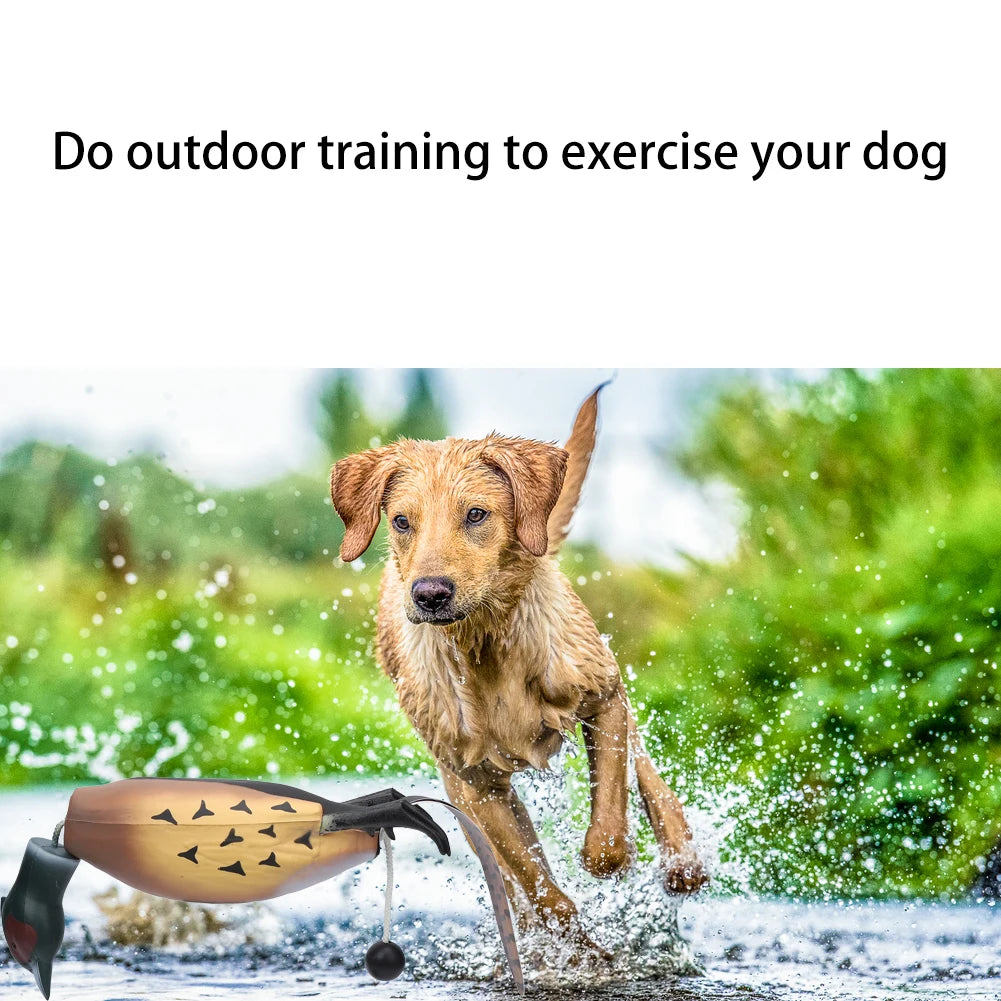 Training Pheasant Dummy