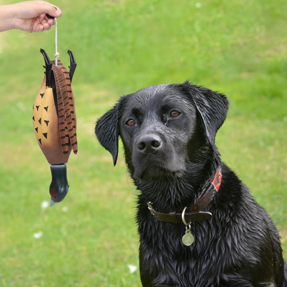 Training Pheasant Dummy
