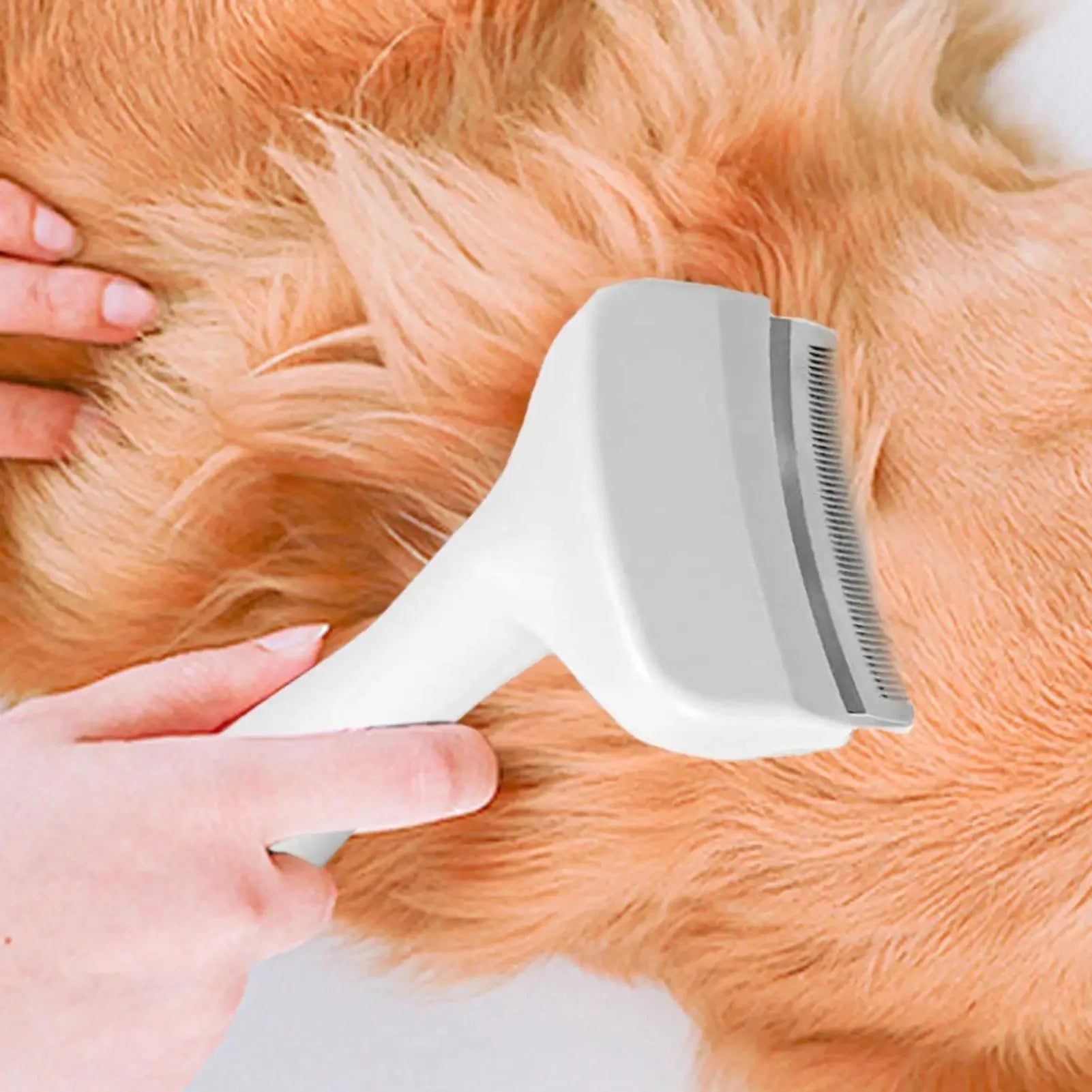 Slicker Brush For Dogs