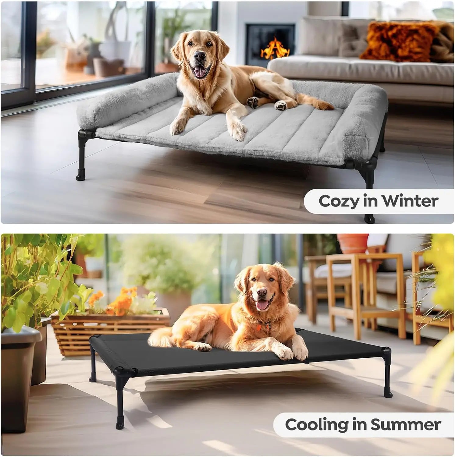 Elevated Orthopedic Dog Bed with Fluffy Bolster
