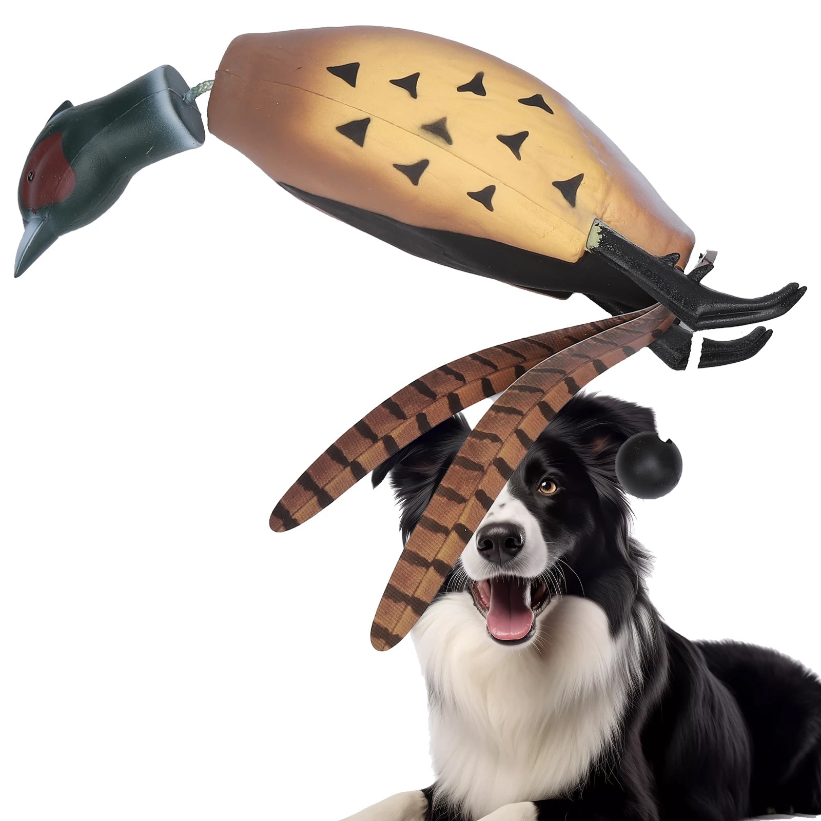 Training Pheasant Dummy