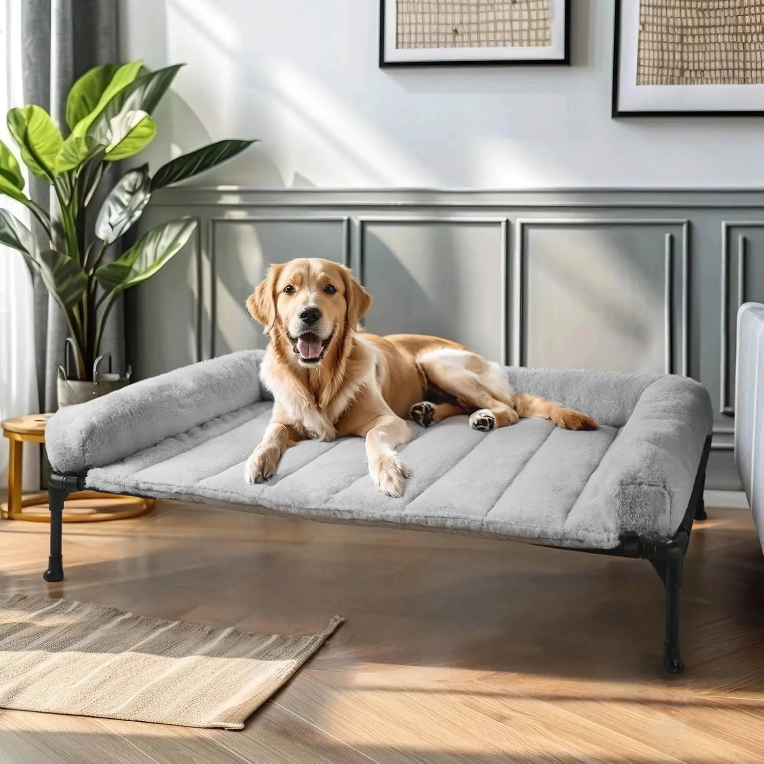 Elevated Orthopedic Dog Bed with Fluffy Bolster