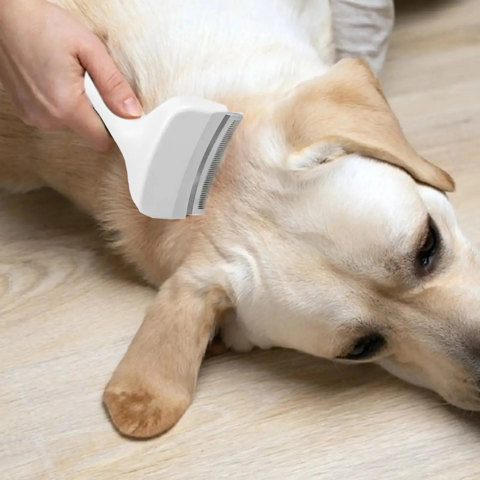 Slicker Brush For Dogs